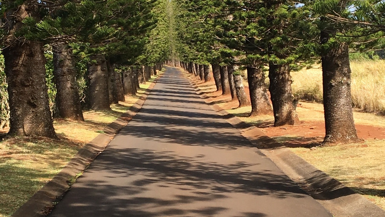 Photo of Others in Napili