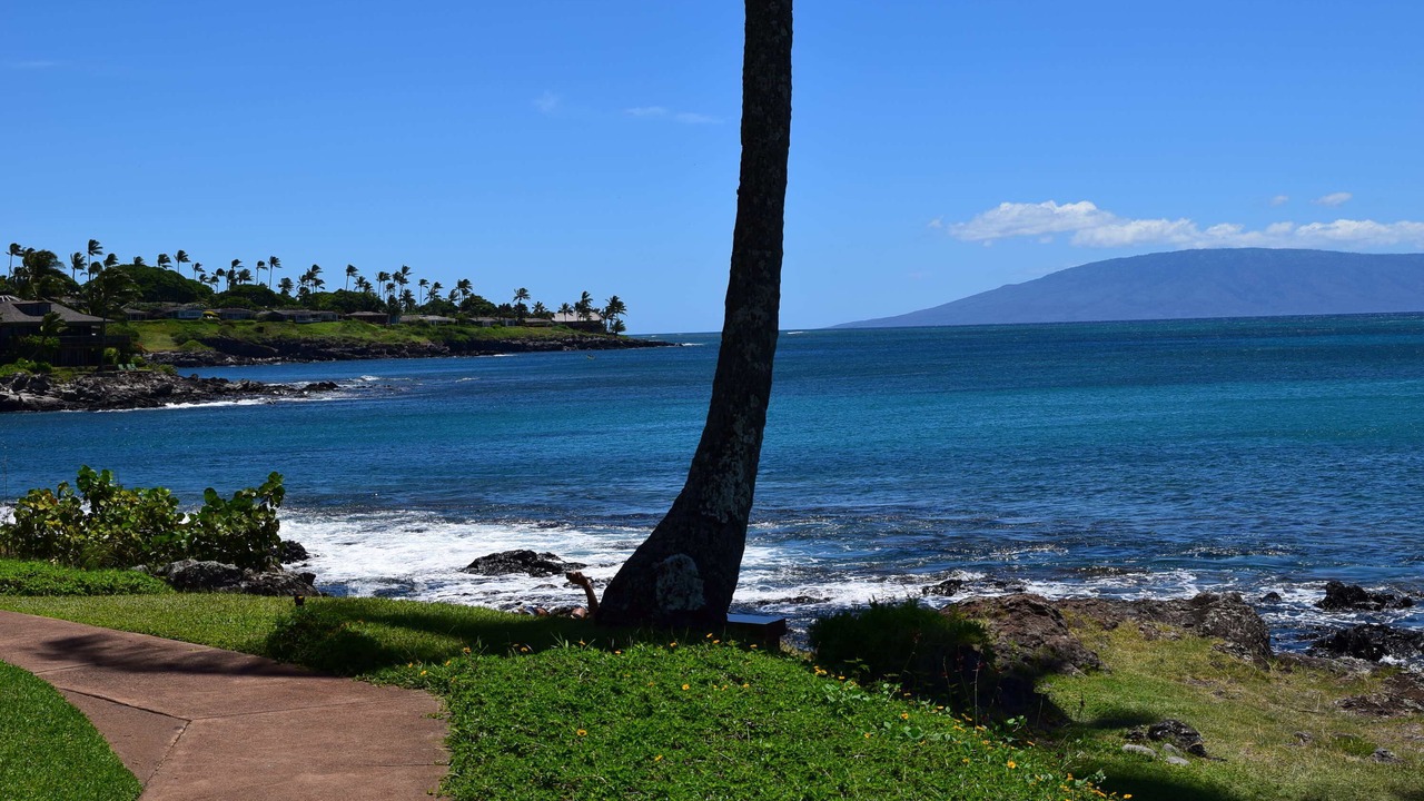 Photo of Others in Napili