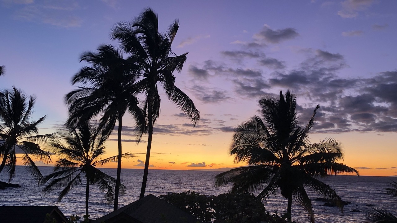 Photo of Outdoor in Wailea