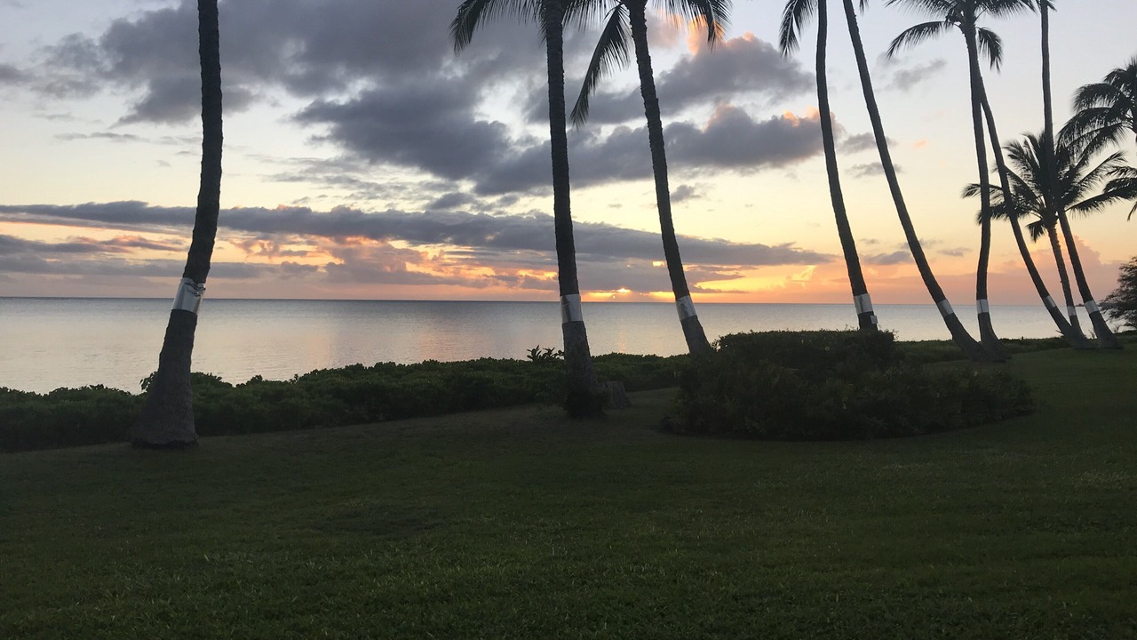 Photo of Outdoor in Kaunakakai
