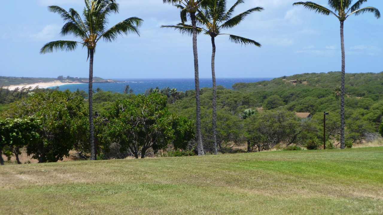 Photo of Others in Maunaloa