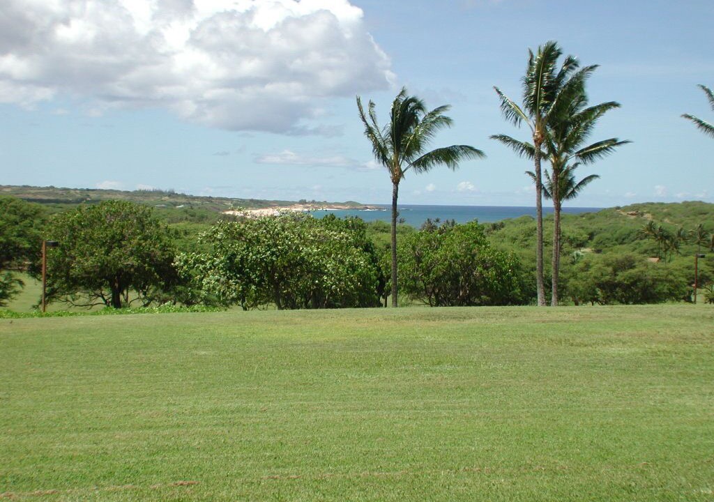 Photo of Others in Maunaloa