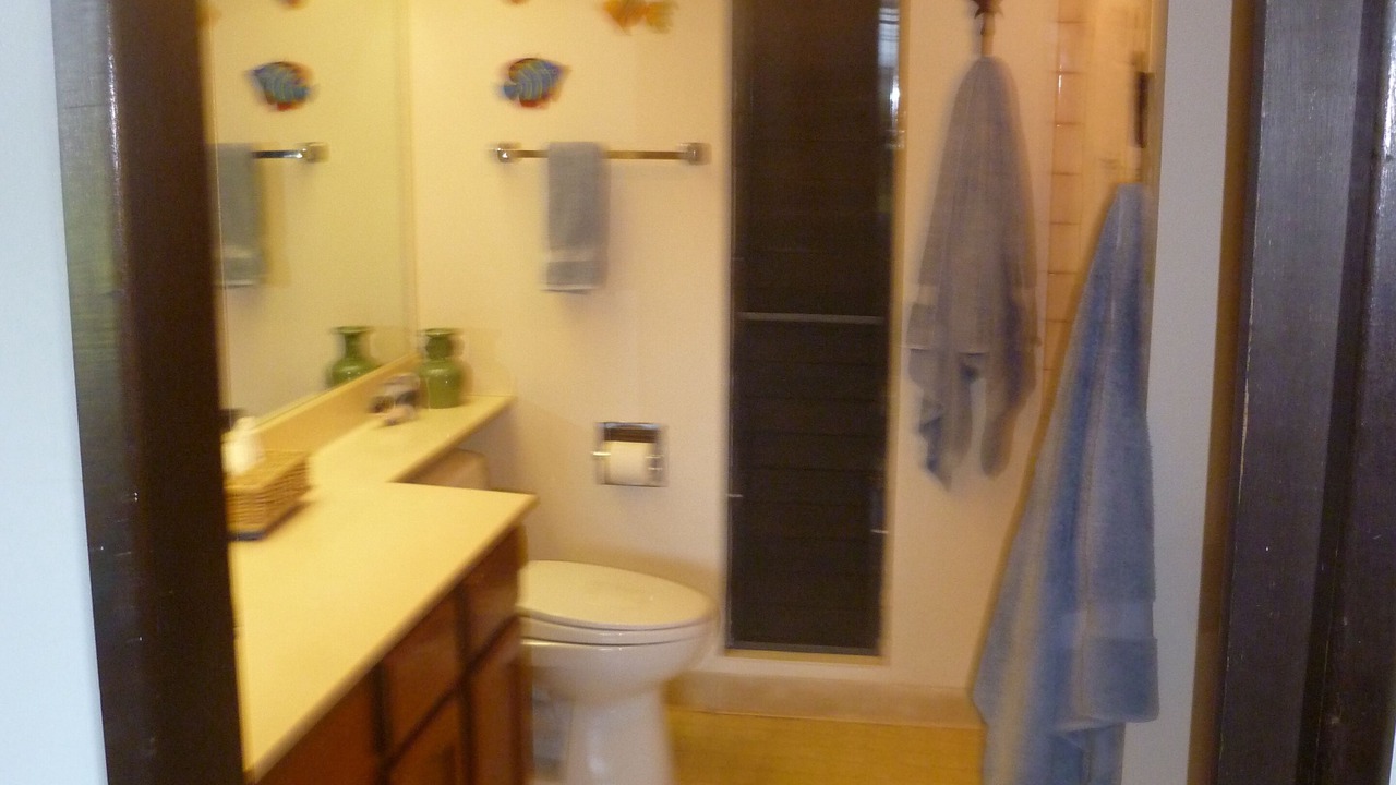 Photo of Bathroom in Maunaloa