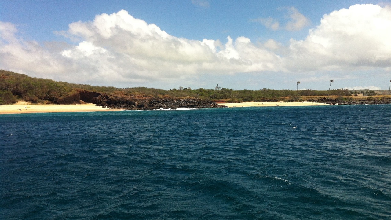Photo of Others in Maunaloa