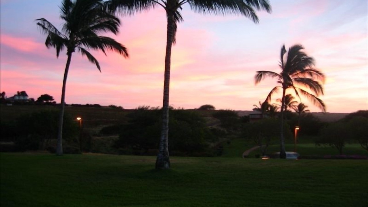 Photo of Others in Maunaloa