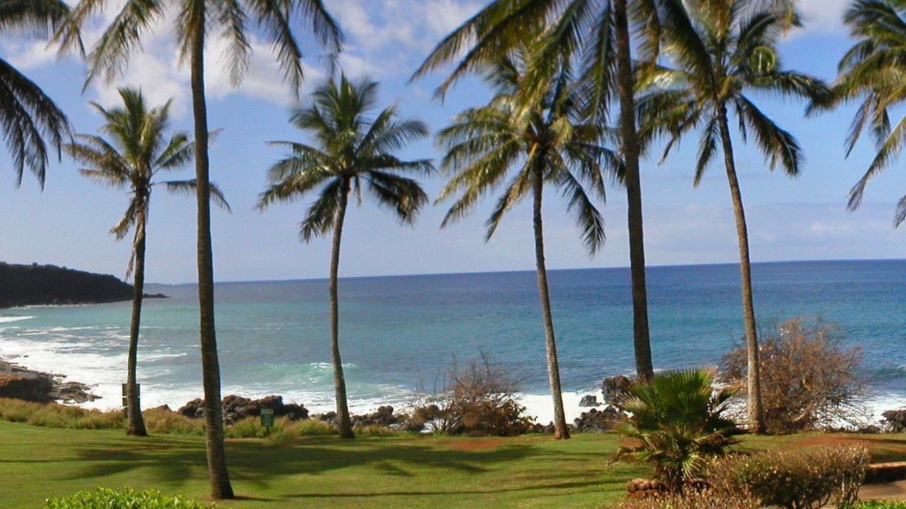 Photo of Others in Maunaloa