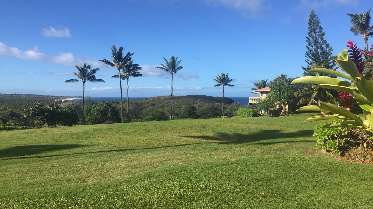 Photo of Outdoor in Maunaloa