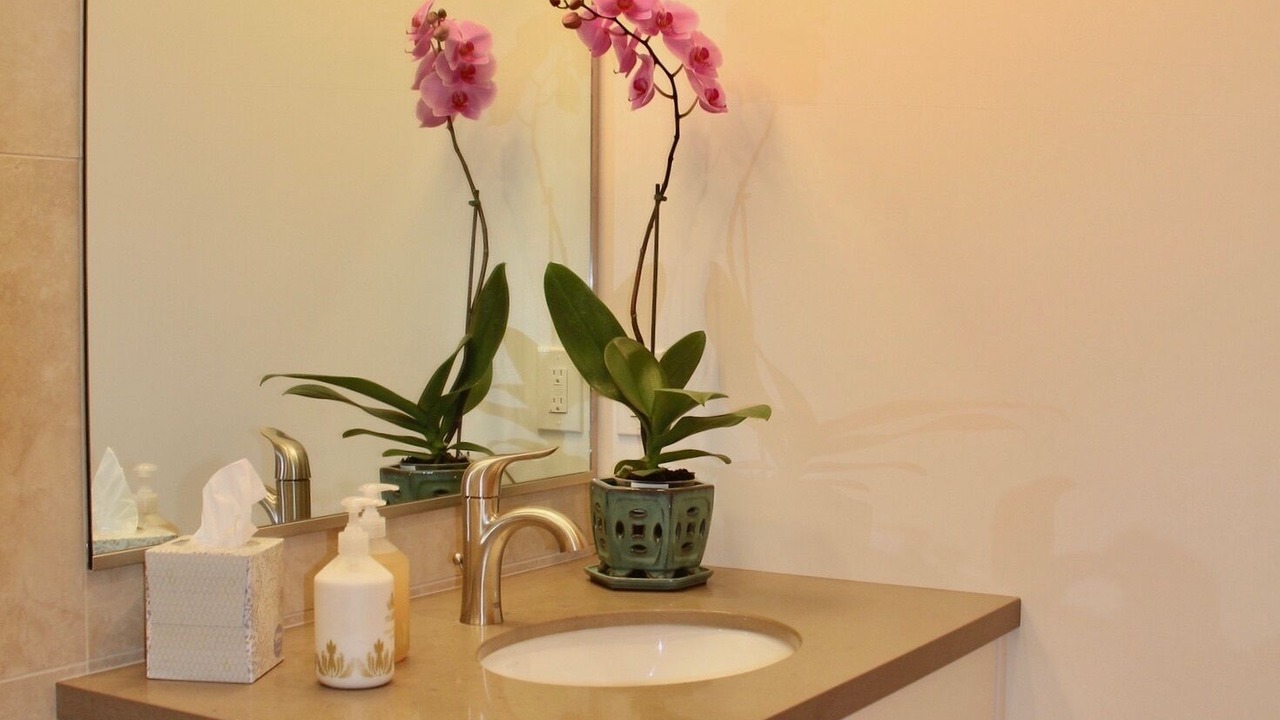 Photo of Bathroom in Pauwela