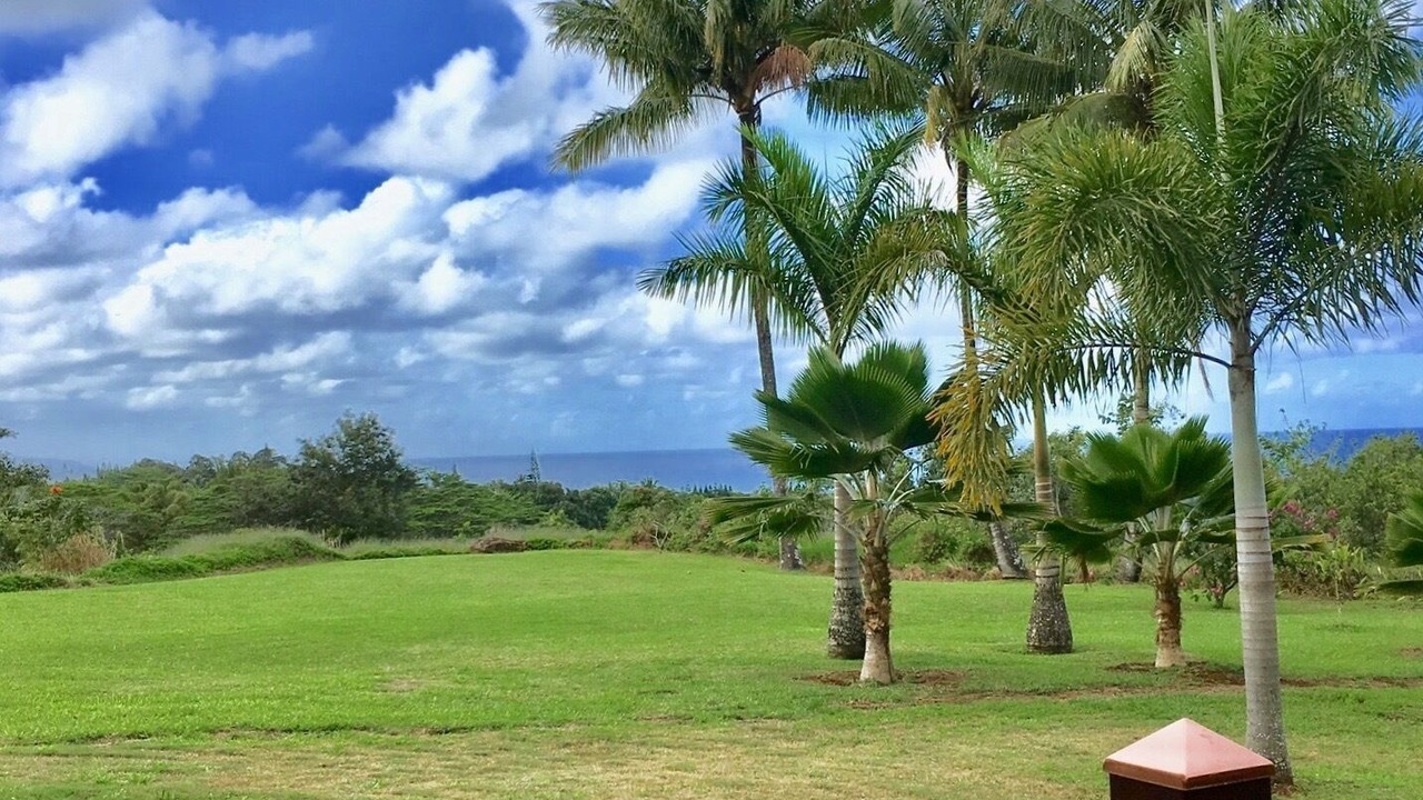 Photo of Outdoor in Pauwela