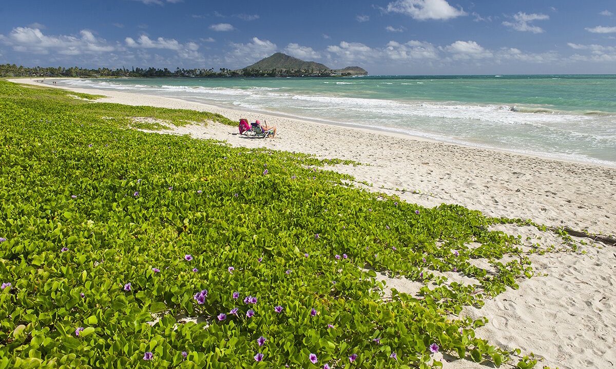 Photo of Others in Kailua