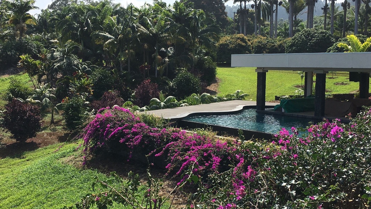 Photo of Outdoor in Ninole