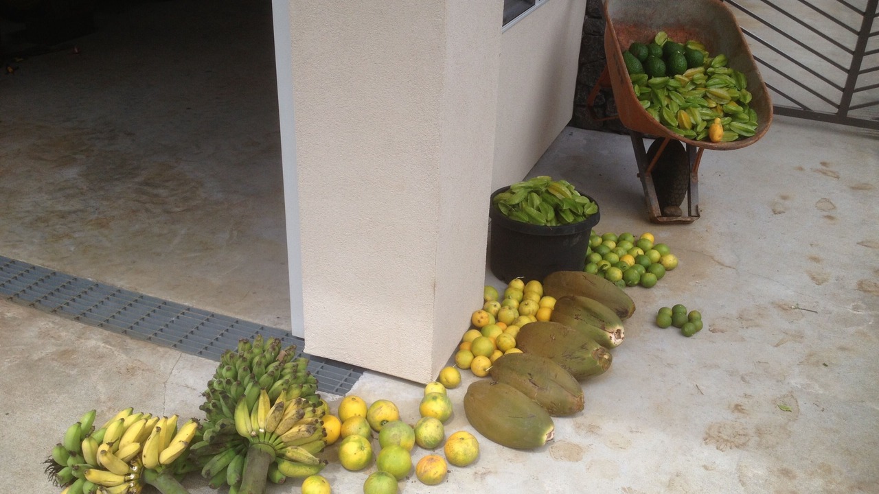 Photo of Others in Ninole