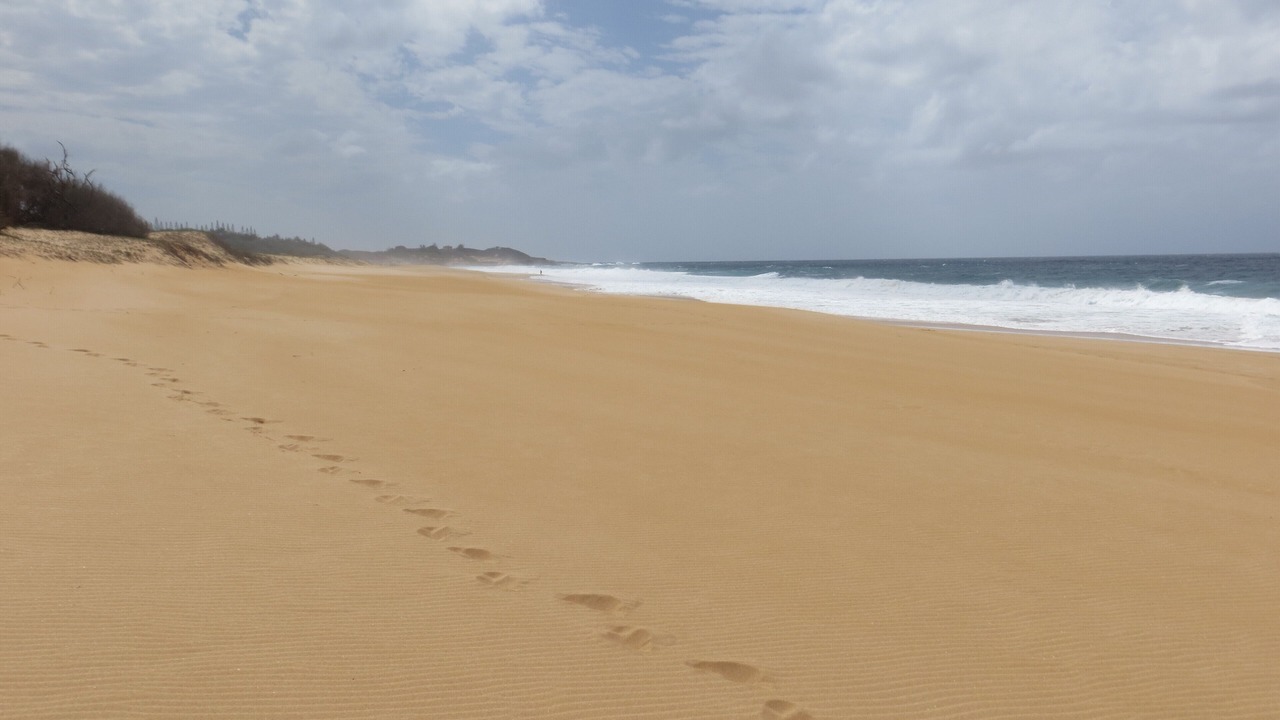 Photo of Others in Maunaloa