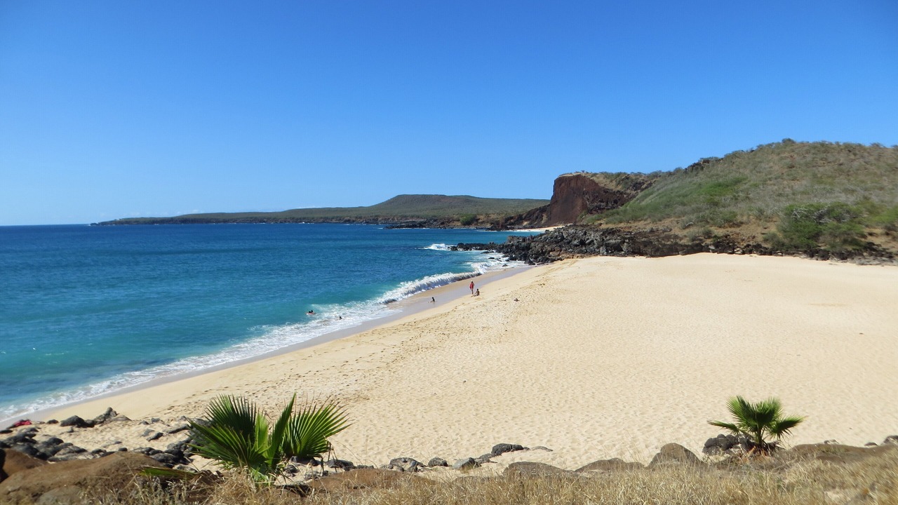 Photo of Others in Maunaloa