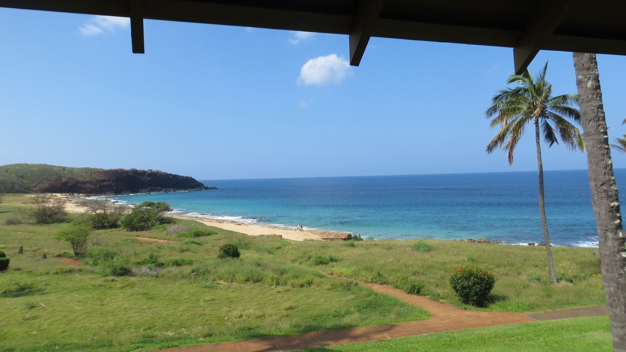 Photo of Others in Maunaloa