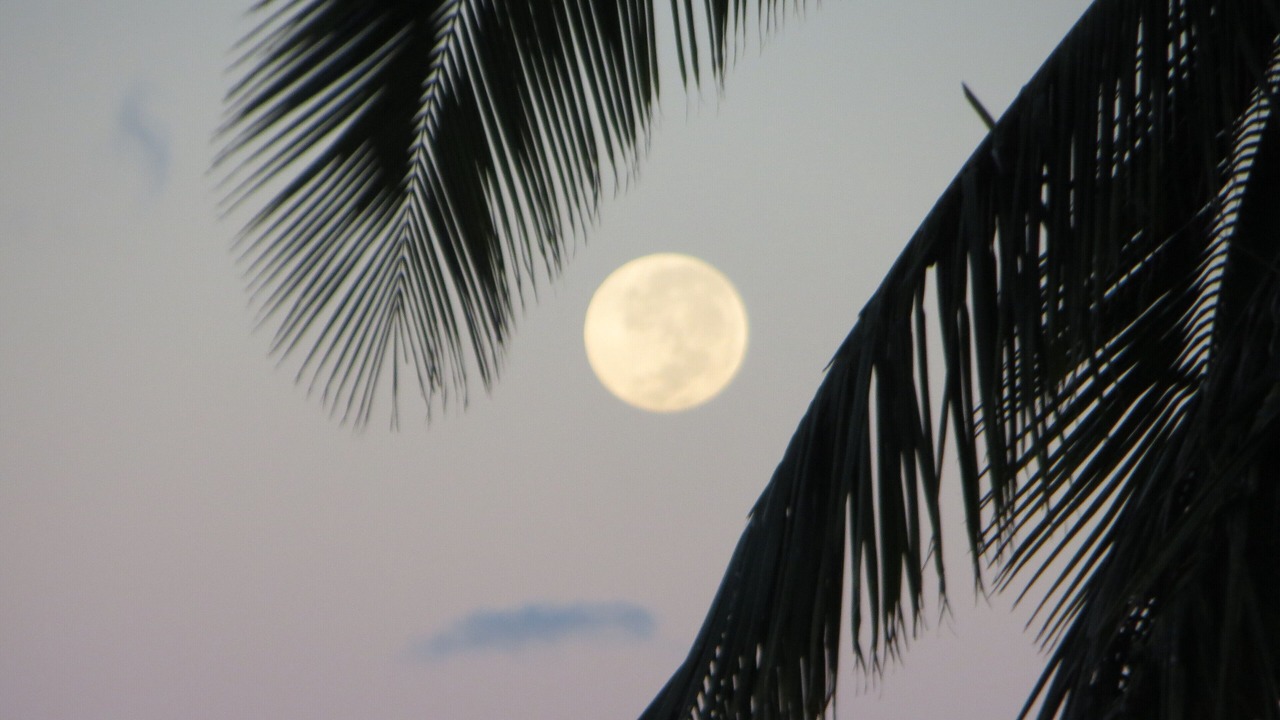Photo of Outdoor in Maunaloa