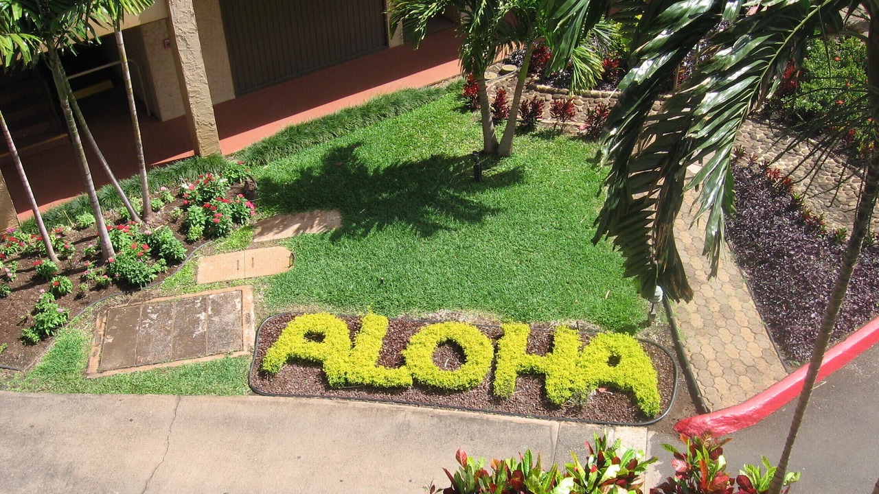 Photo of Others in Honokowai