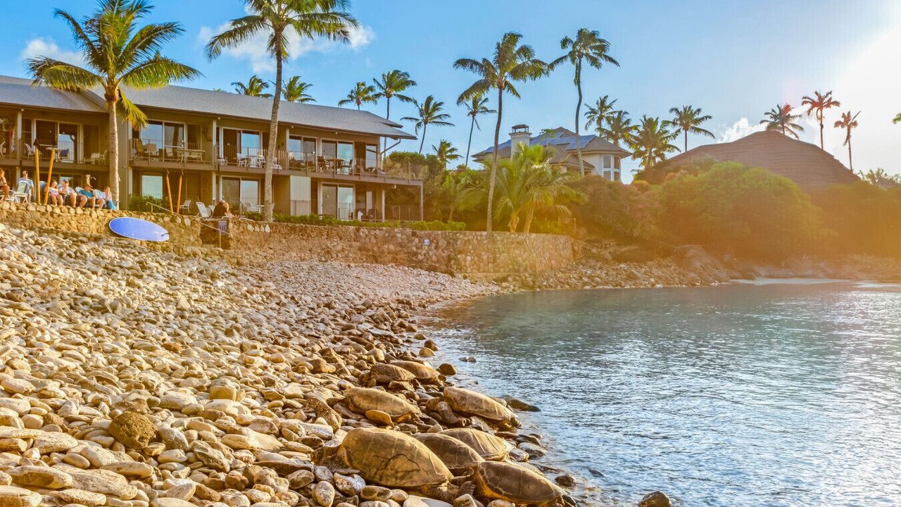 Photo of Others in Napili