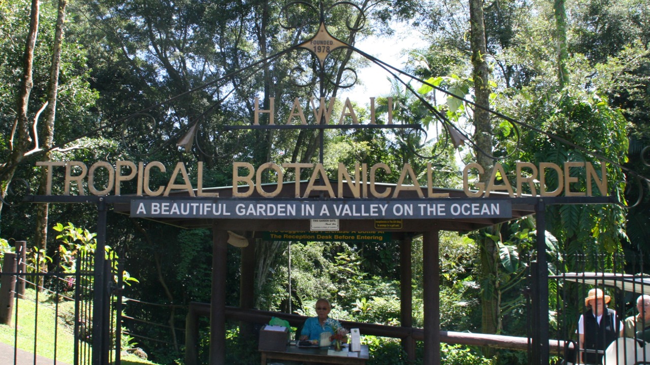 Photo of Outdoor in Hilo