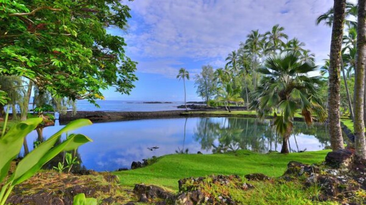 Photo of Others in Hilo