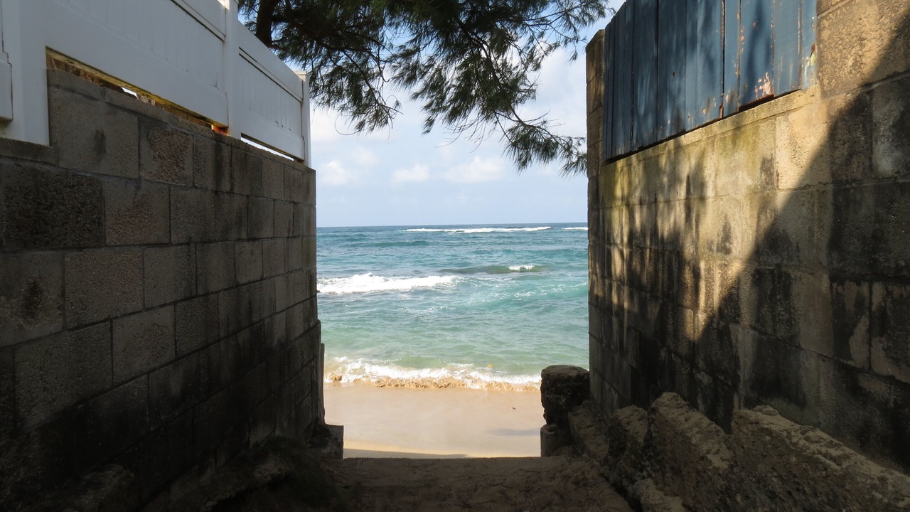 Photo of Others in Laie