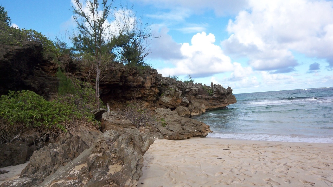 Photo of Others in Laie