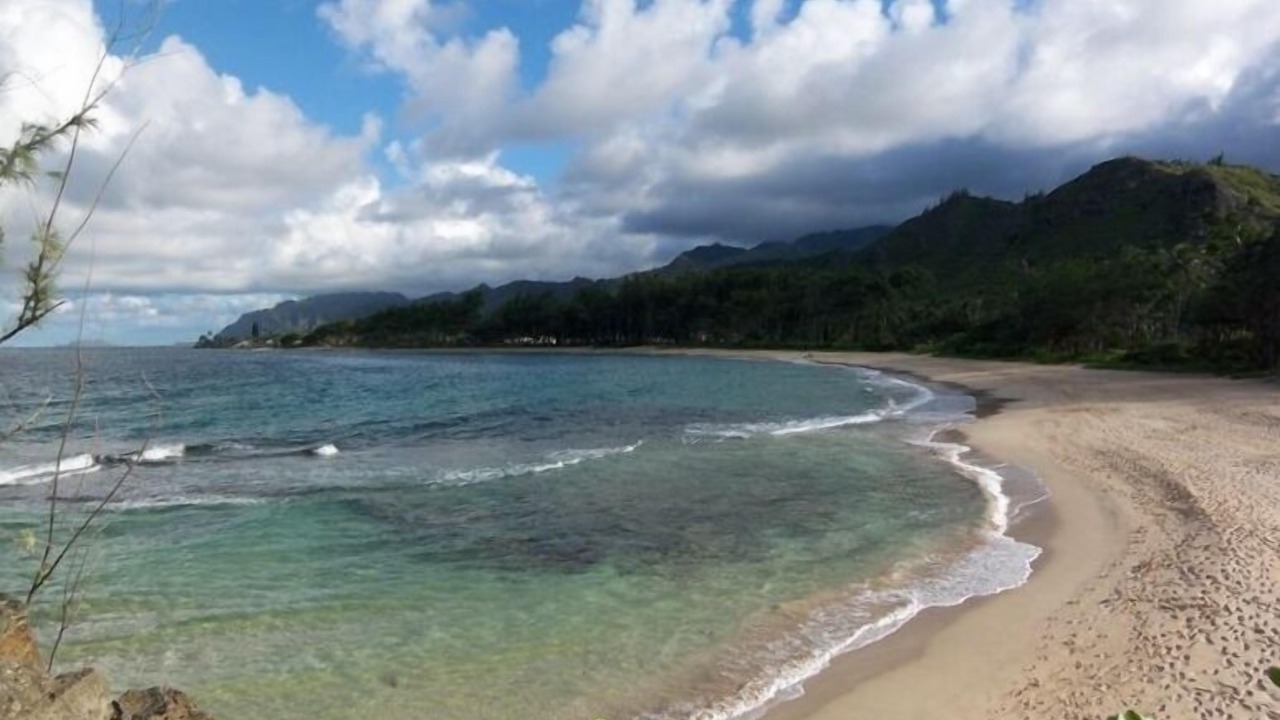 Photo of Others in Laie