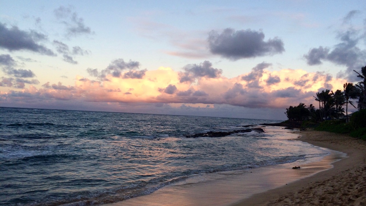 Photo of Others in Laie