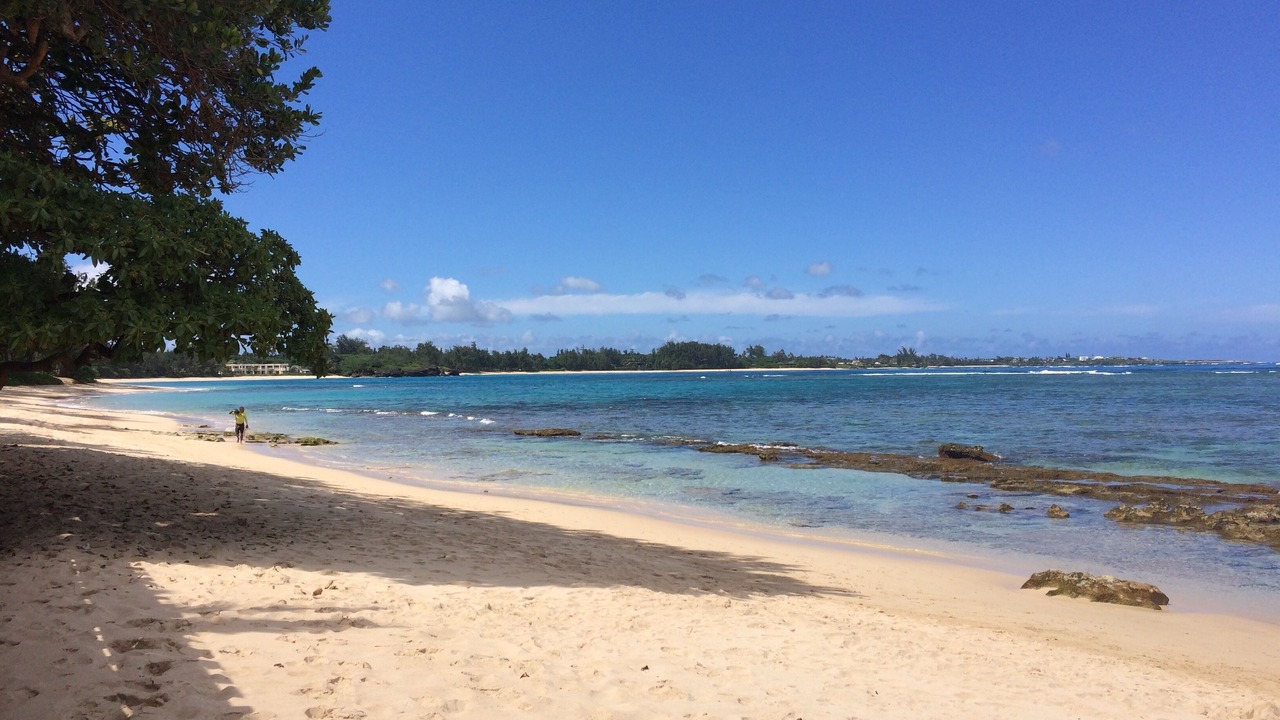 Photo of Others in Laie