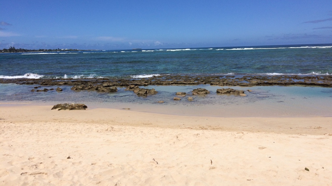 Photo of Others in Laie