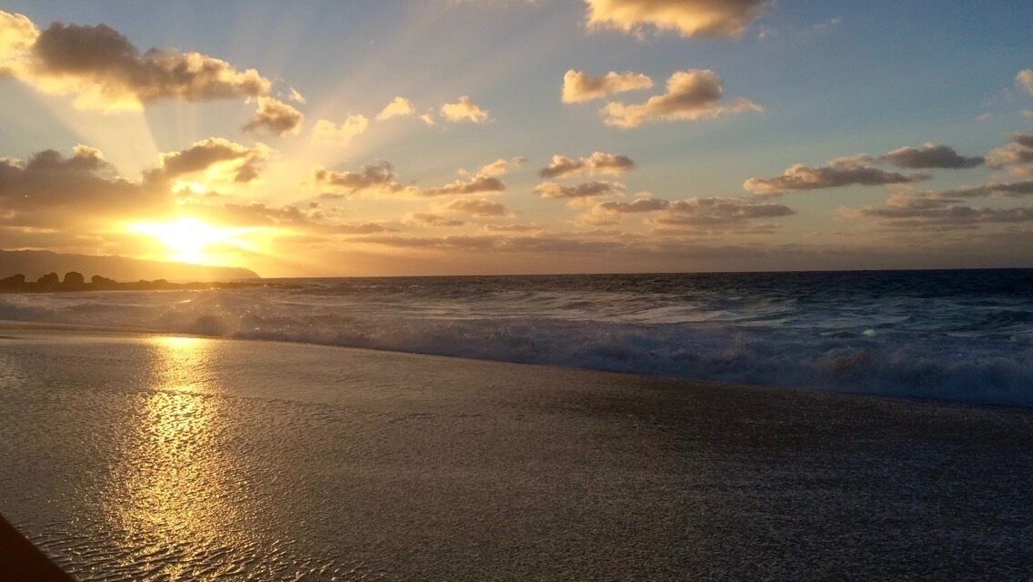Photo of Others in Laie