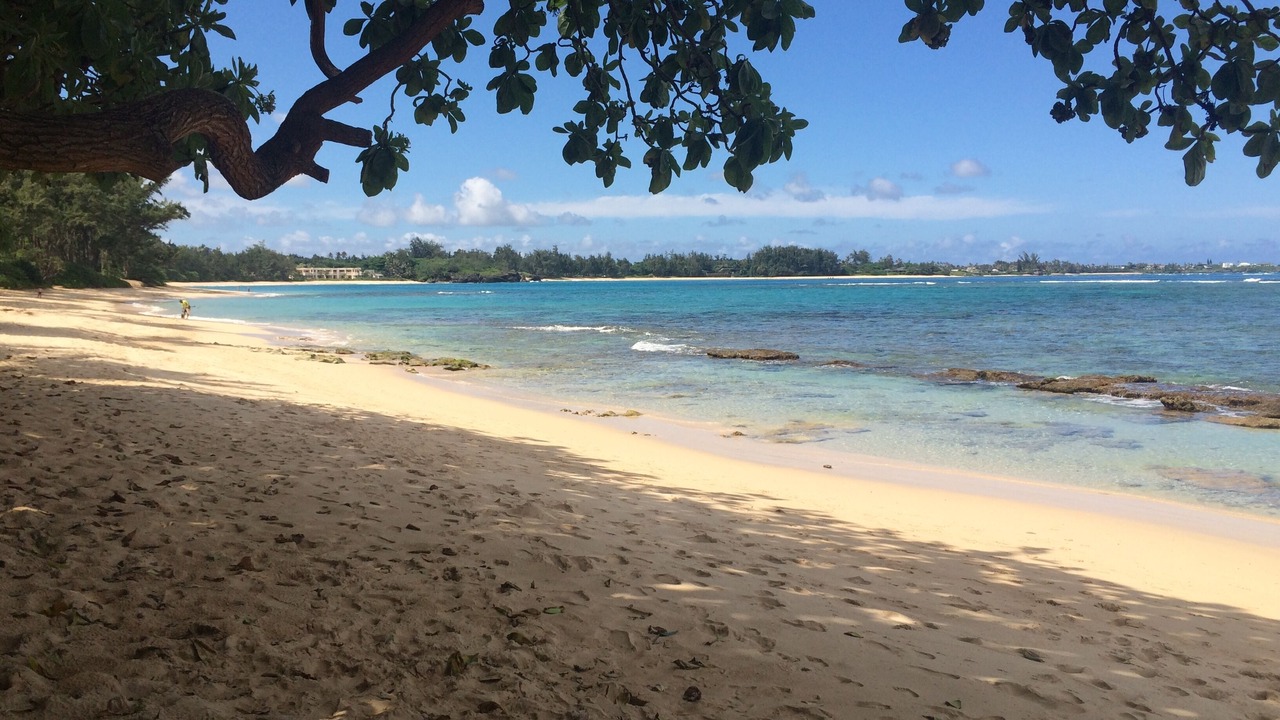 Photo of Others in Laie