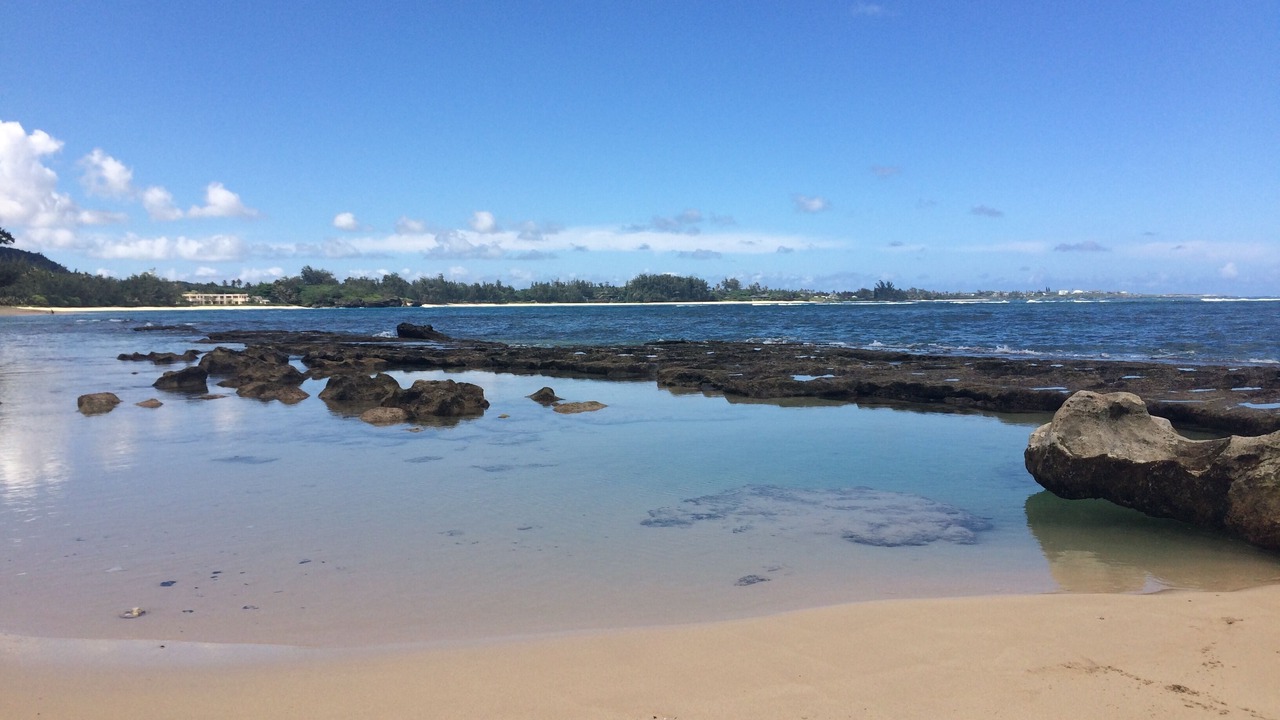 Photo of Others in Laie