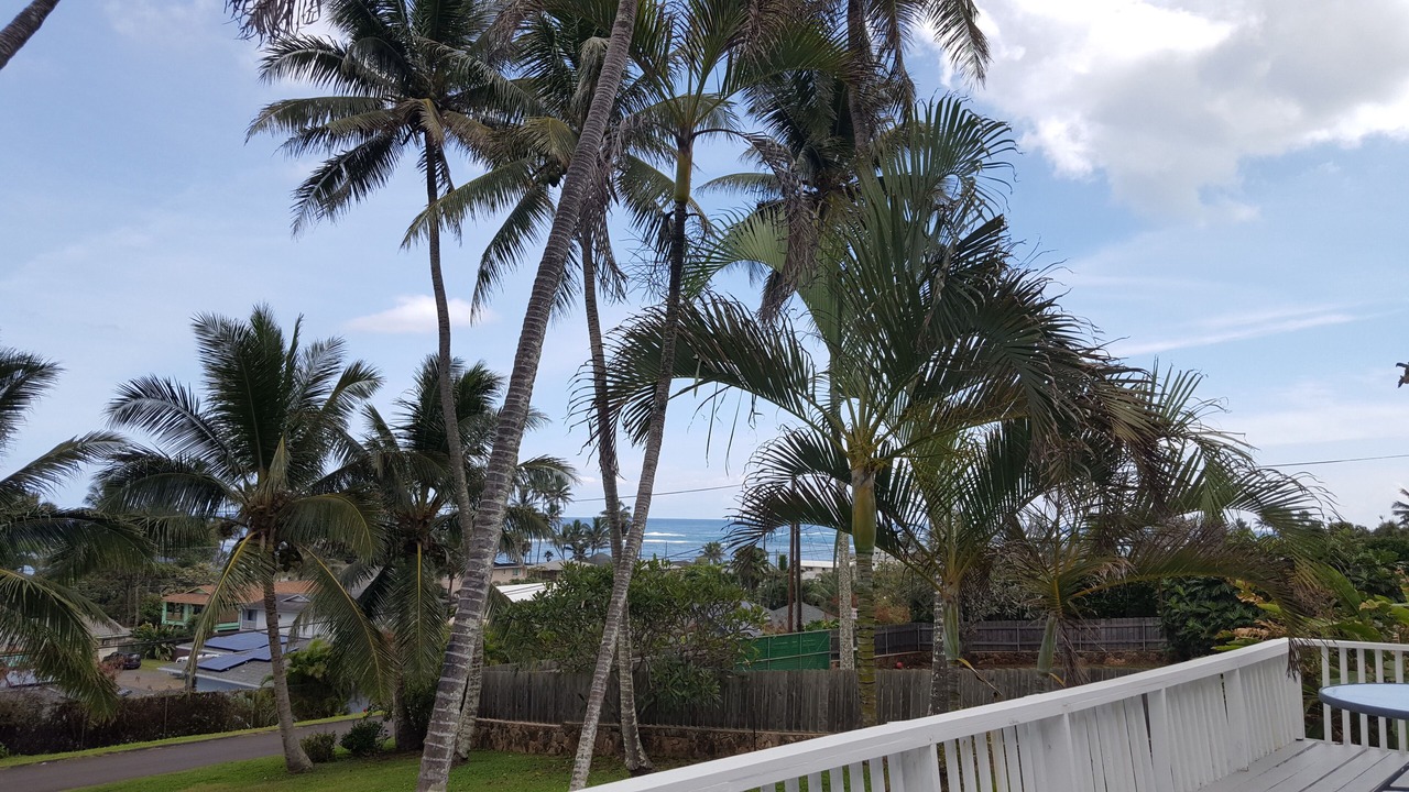 Photo of Outdoor in Ka'a'awa