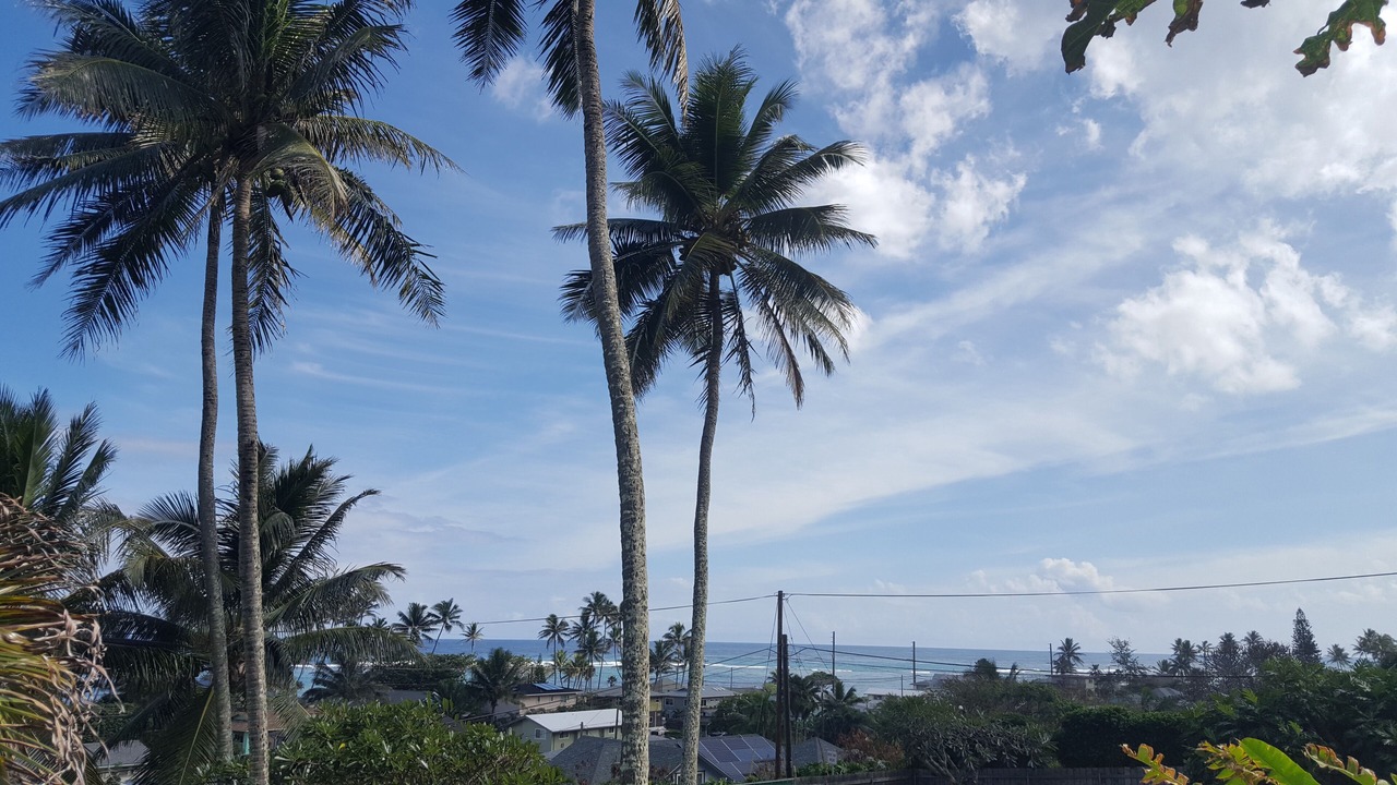 Photo of Others in Ka'a'awa