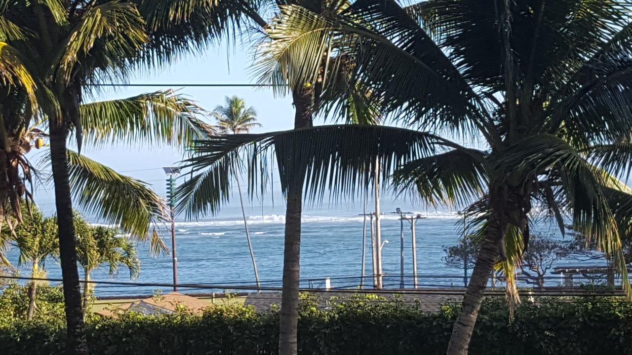 Photo of Others in Ka'a'awa