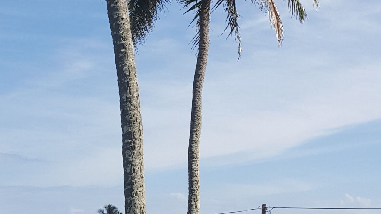 Photo of Others in Ka'a'awa