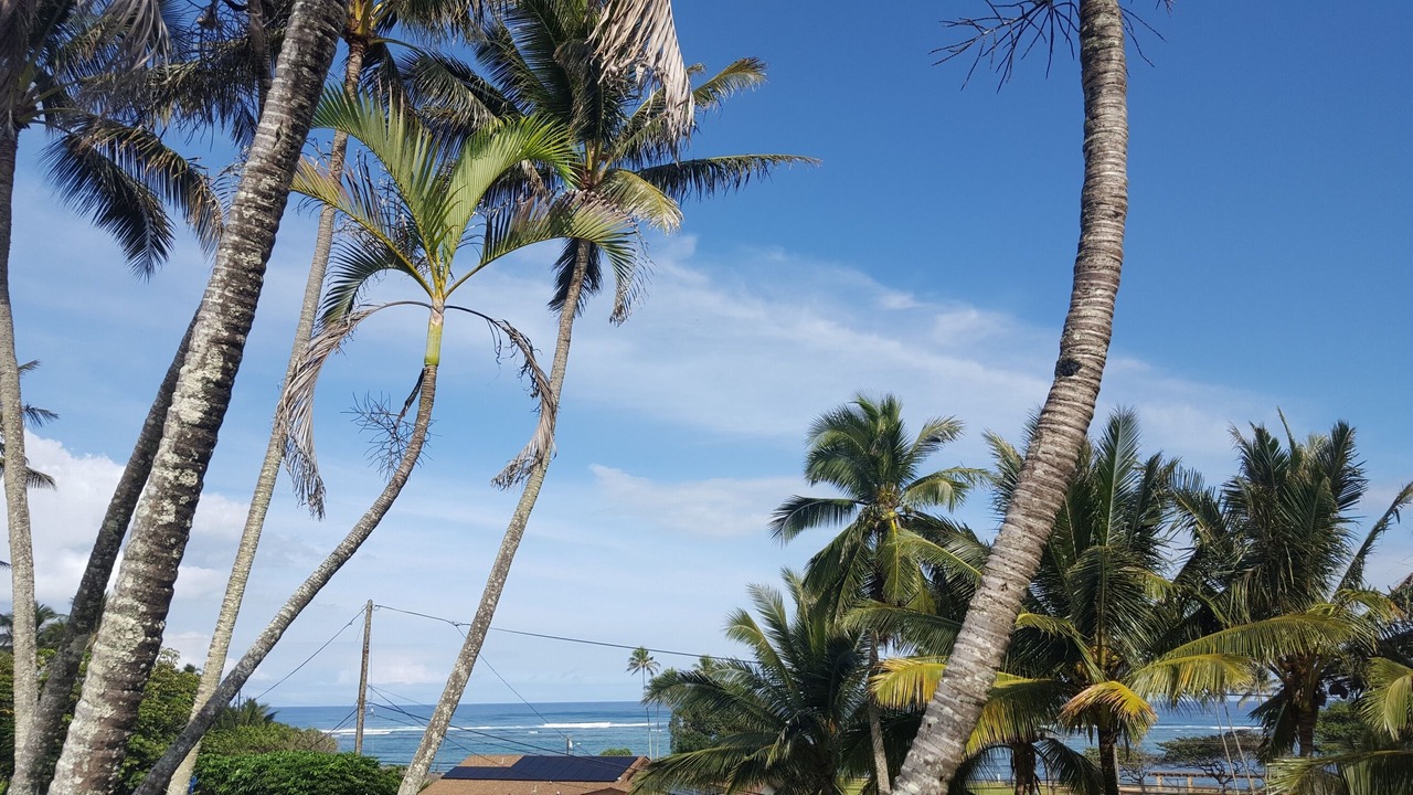 Photo of Others in Ka'a'awa