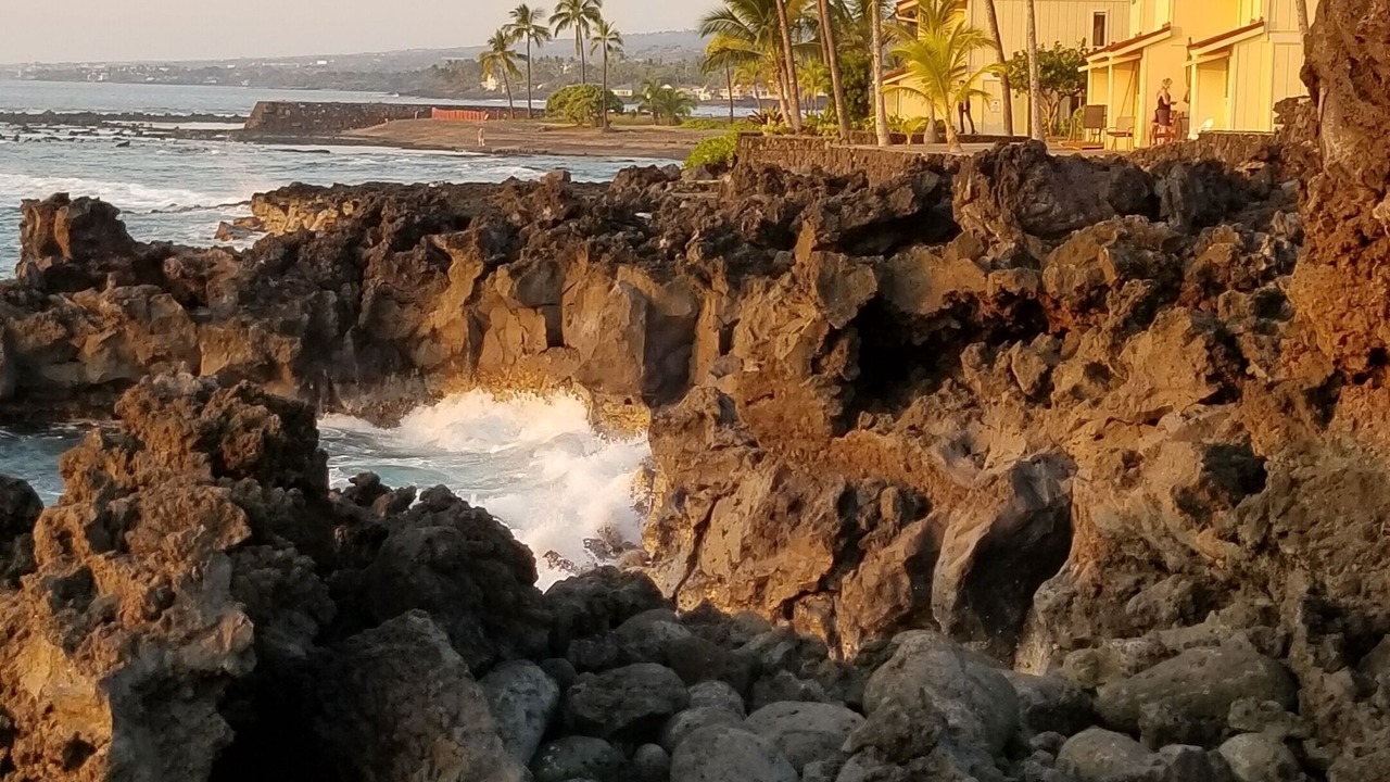 Photo of Others in Kahaluu Bay