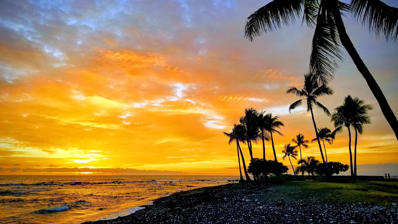 Photo of Others in Kahaluu Bay
