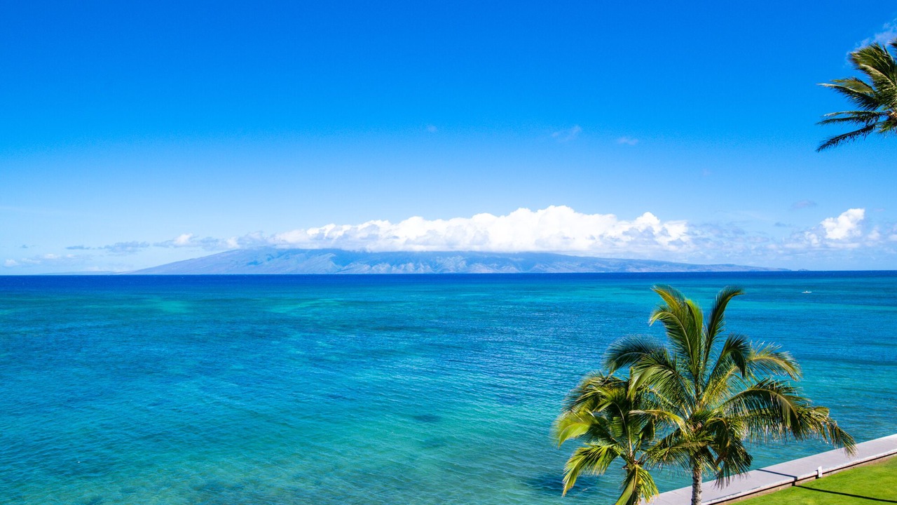 Photo of Others in Kahana