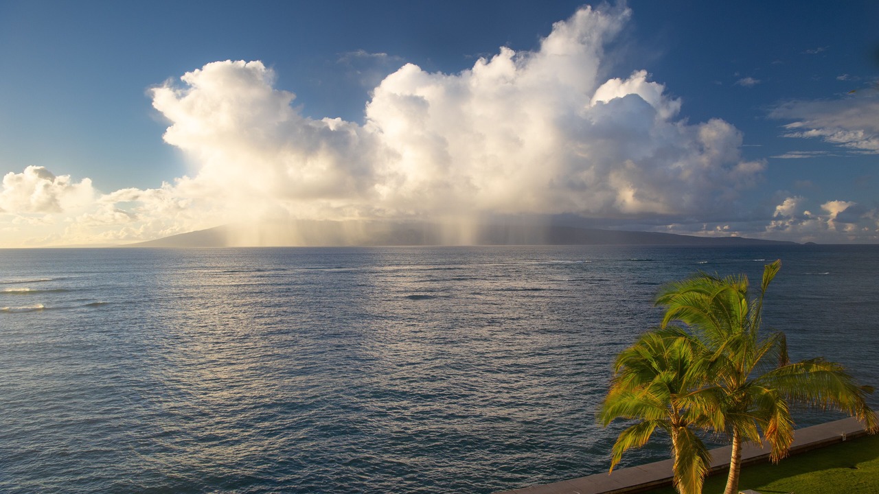 Photo of Others in Kahana
