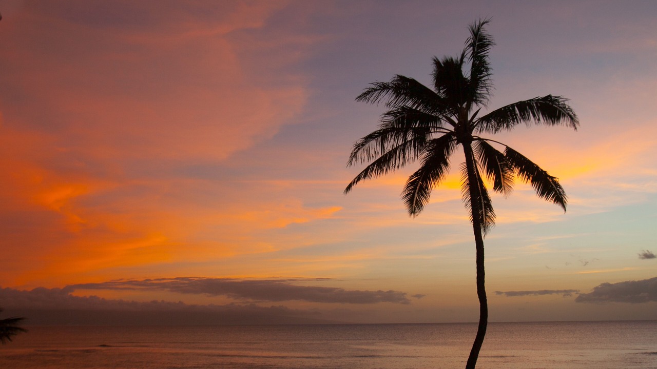 Photo of Others in Kahana