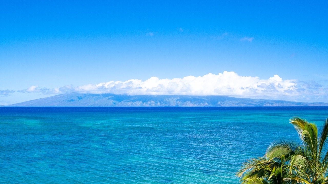 Photo of Others in Kahana