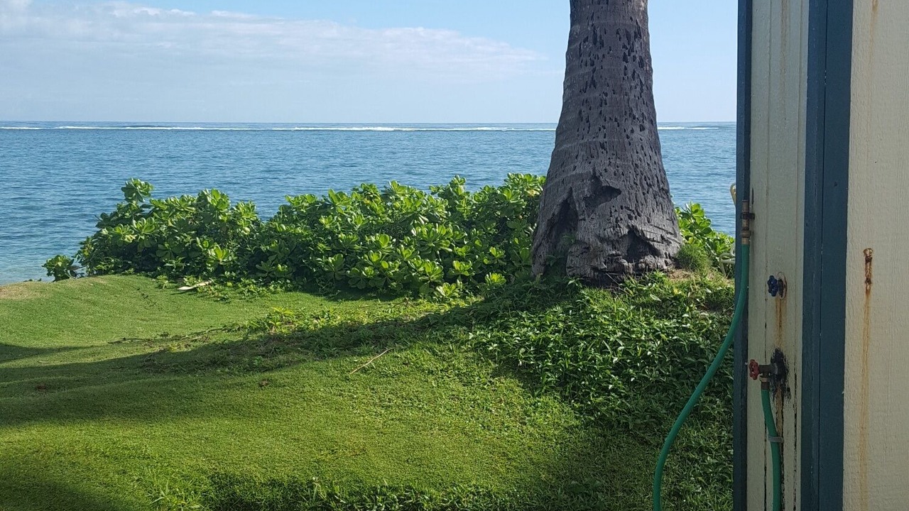 Photo of Outdoor in Punaluu