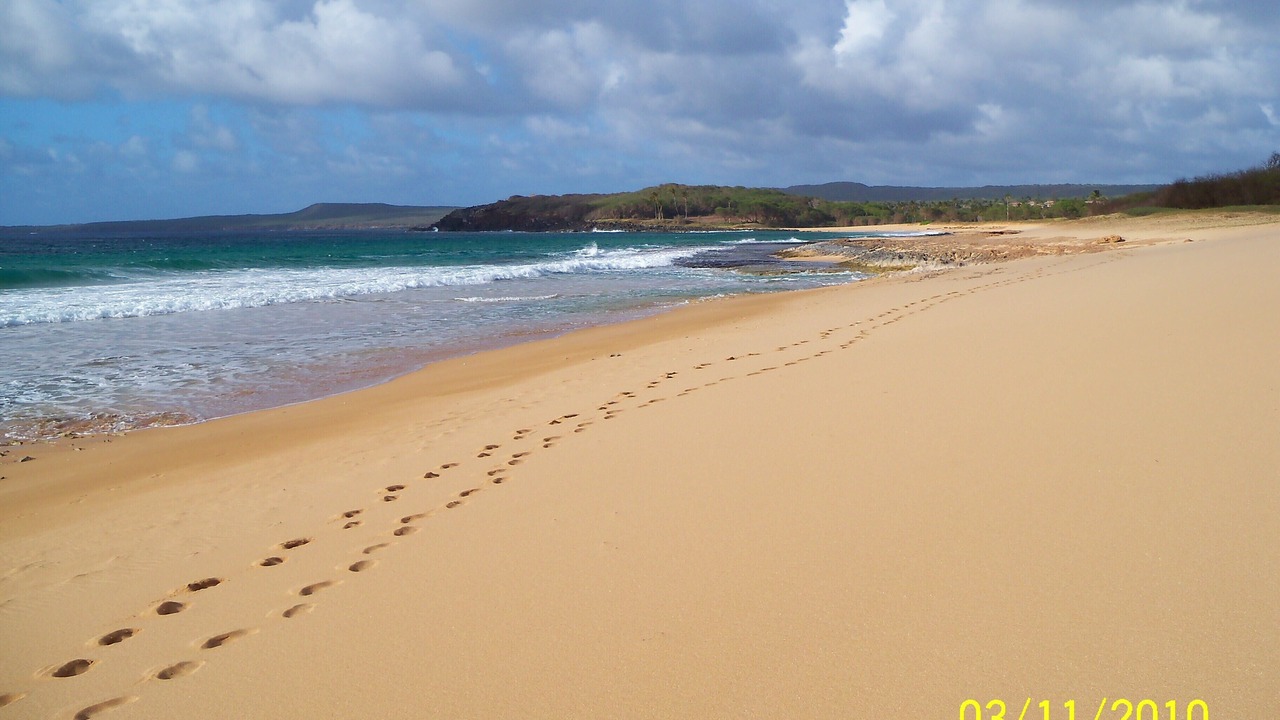 Photo of Others in Maunaloa