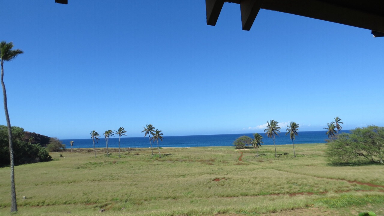 Photo of Others in Maunaloa