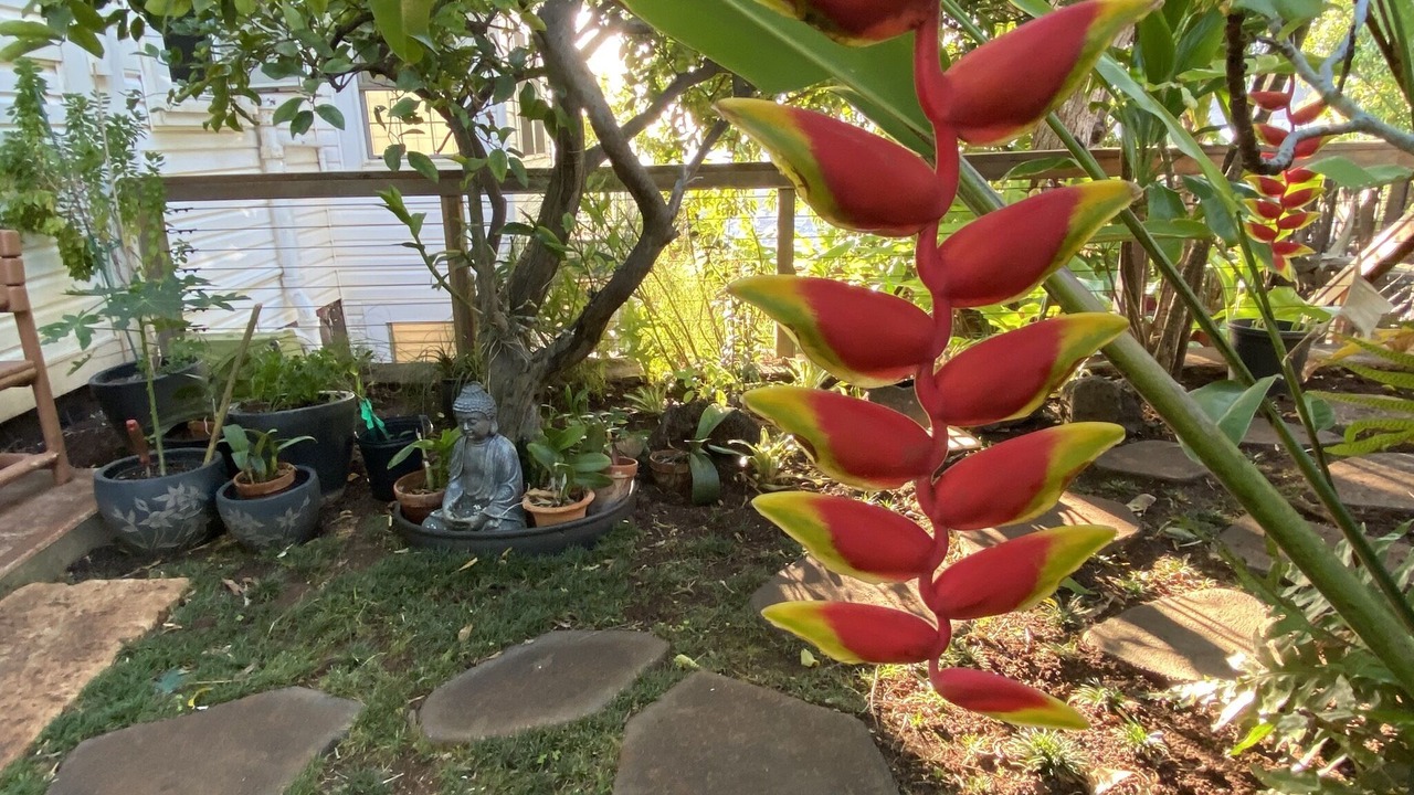 Photo of Outdoor in Maunalani Heights