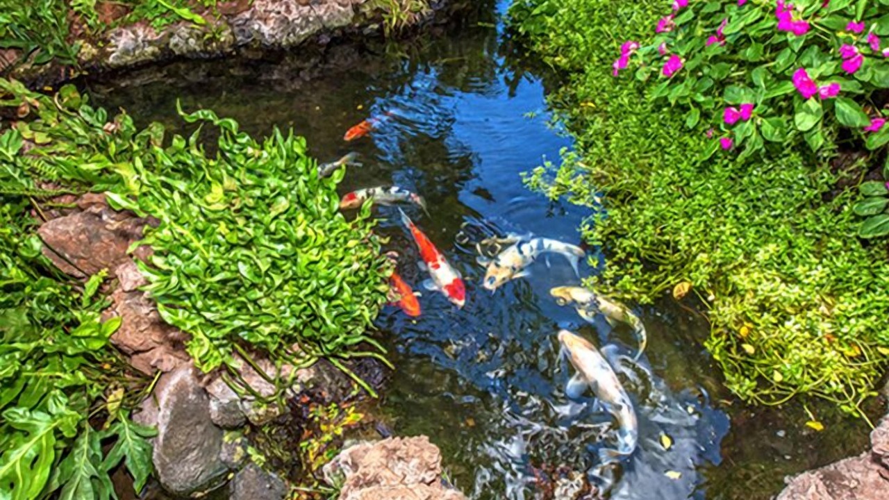Photo of Others in Maalaea