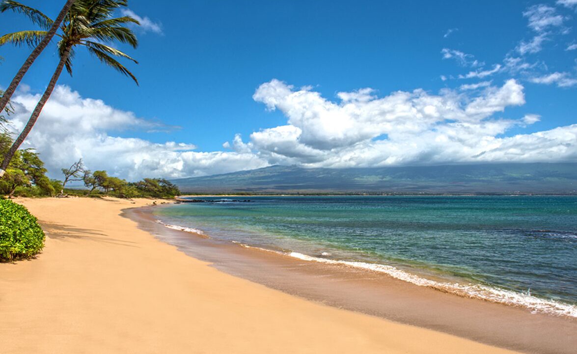 Photo of Others in Maalaea